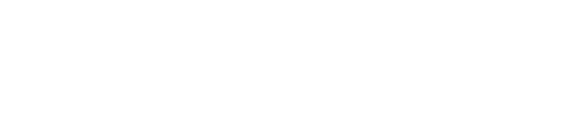 Metalúrgica Bertizola